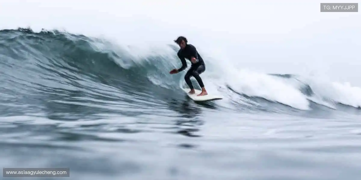 全能娱乐互动阵地：高清所有视讯热门，精彩永相伴时刻